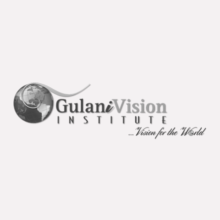 GulaniVision